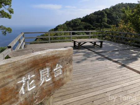 世界で一番大きな盆栽? 日本庭園 アカオハーブ&ローズガーデン