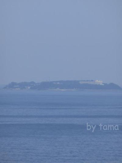 世界で一番大きな盆栽? 日本庭園 アカオハーブ&ローズガーデン