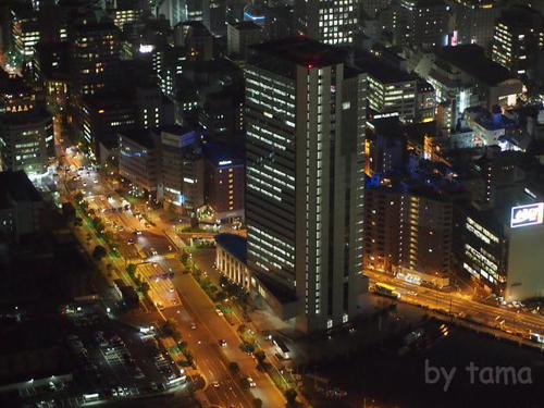 ガッツリ夜景ＮＯ２！！横浜ランドマークタワー６９階スカイガーデン