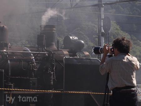観客ウォッチング 大井川鉄道千頭駅 SLフェスタ2013