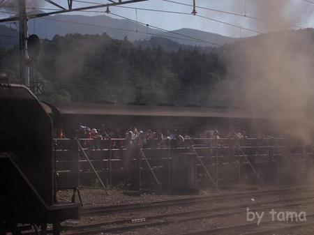 観客ウォッチング 大井川鉄道千頭駅 SLフェスタ2013