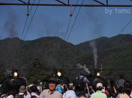観客ウォッチング 大井川鉄道千頭駅 SLフェスタ2013