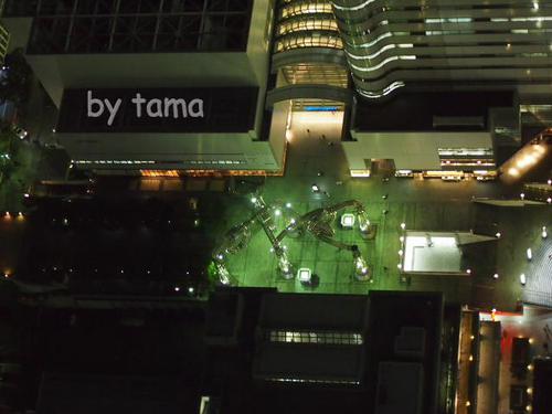 都会に潜む剛鉄の大蛇 横浜ランドマークタワー