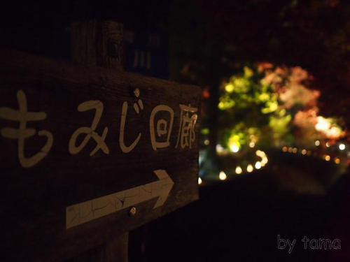 河口湖紅葉まつりライトアップ♪ もみじ回廊