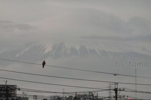 緊急UP 今日の撮れたて富士山 夕焼けから闇夜へ