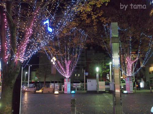 青葉シンボルロード クリスマスイルミネーション ドライブムービー