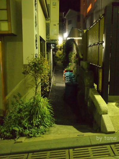 江ノ島シーキャンドル目指して♪ その前になんちゃってリポート