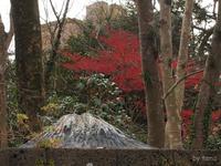 こんな所にも富士山♪　楽寿園　～三島散策～
