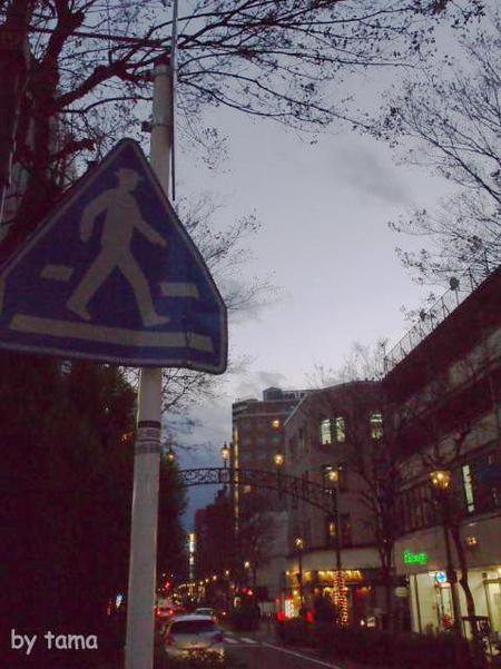 横浜馬車道通りの ほのかなライトアップ