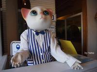 人気だった面白記事　猫の博物館のフォトを動画にしました！！　クルミ割り人形