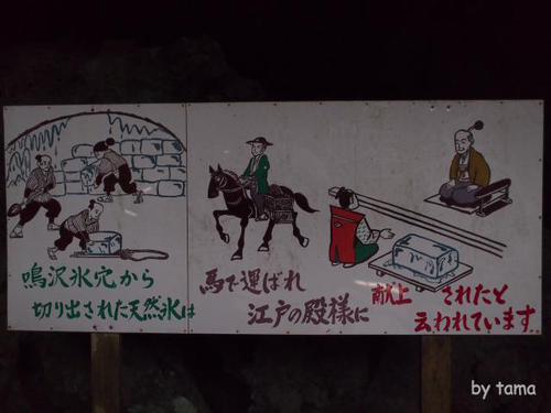 背筋がぞっとするような画像・・・・・