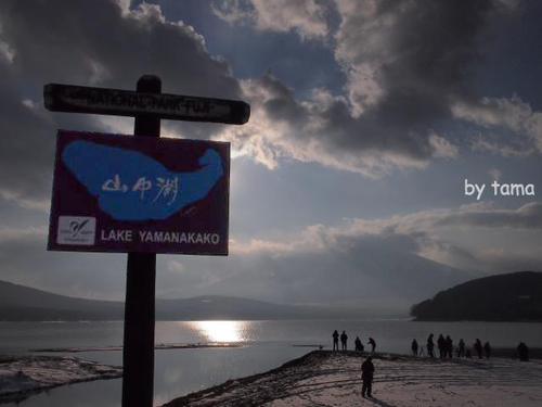 山中湖 富士山撮影スポット