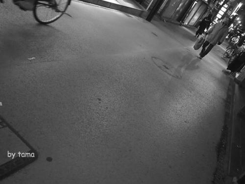 なんてこった!!変だと思ったら・・・・・ 鎌倉小町通