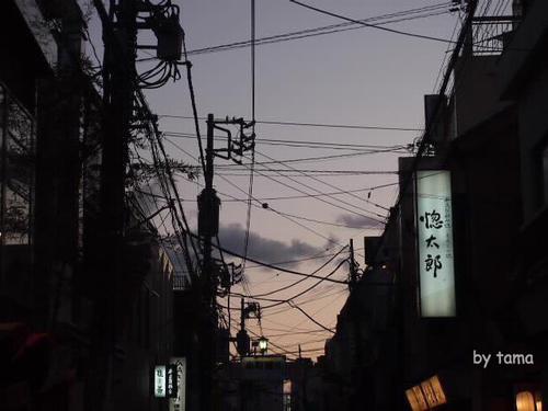 なんてこった!!変だと思ったら・・・・・ 鎌倉小町通