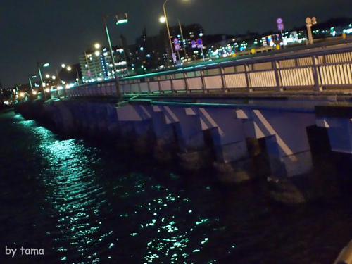 江ノ島アイランドスパ えのすぱイルミネーション