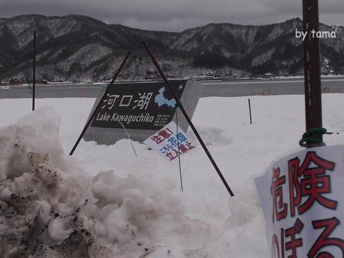 まるで雪国な 朝霧・精進湖・河口湖 お出かけの注意点