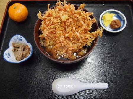 久々の桜えびかき揚げ茶づけ♪ 由比情報