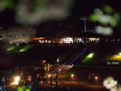 みなみの桜と菜の花まつり 夜桜☆流れ星 NO1 開場の様子