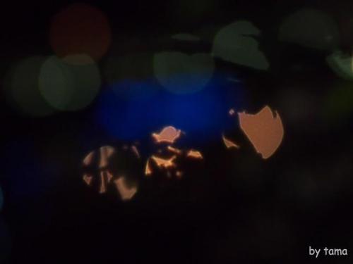 みなみの桜と菜の花まつり 夜桜☆流れ星 NO2 心の風景