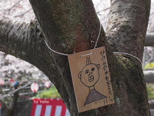 蒲原の御殿山 八坂神社の桜 蒲原の御殿山 八坂神社の桜
