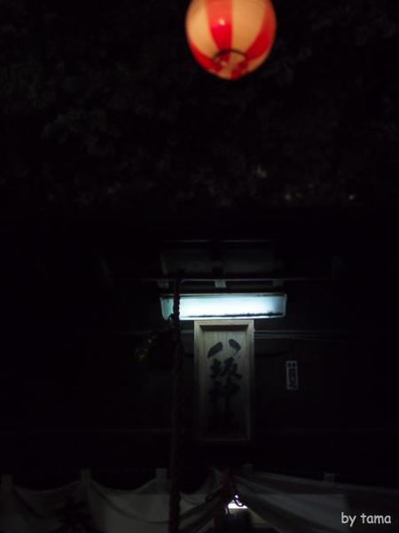 やっぱり行って来た!! ライトアップの蒲原御殿山の夜桜 やっぱり行って来た!! ライトアップの蒲原御殿山の夜桜