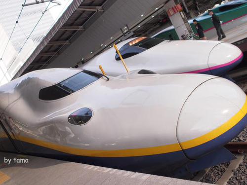 東京駅 新幹線とホームのマナー 東京駅 新幹線とホームのマナー