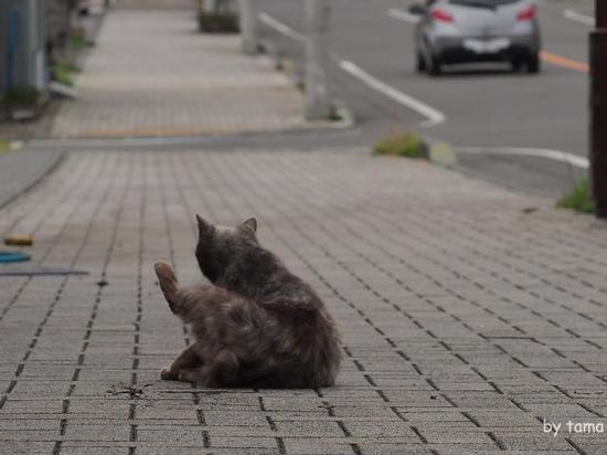 こんなはずじゃ・・・・・・・・ こんなはずじゃ・・・・・・・・