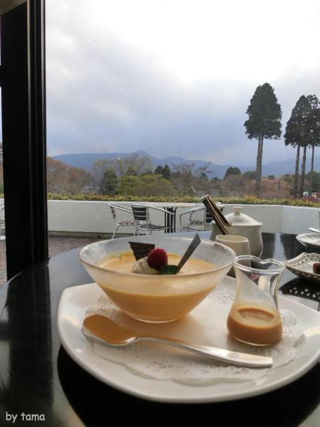 箱根芦ノ湖畔 山のホテルのラウンジバー まだ早いツツジしゃくなげフェア 箱根芦ノ湖畔 山のホテルのラウンジバー まだ早いツツジしゃくなげフェア