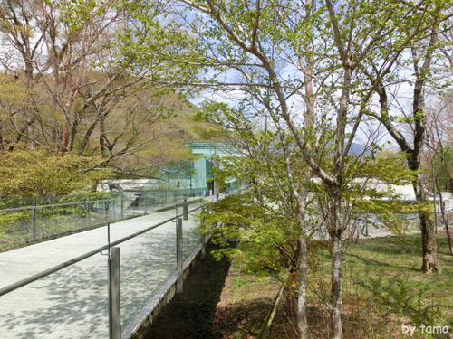 これからの時期オススメ 新緑が気持ちいい箱根ポーラ美術館 これからの時期オススメ 新緑が気持ちいい箱根ポーラ美術館