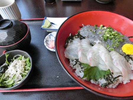 江ノ島で　朝獲れのシラス丼