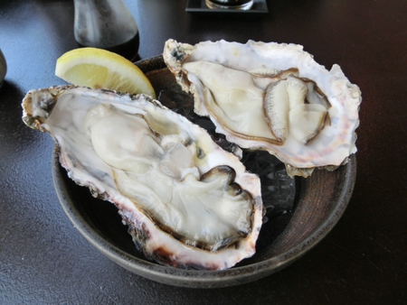 江ノ島で　朝獲れのシラス丼