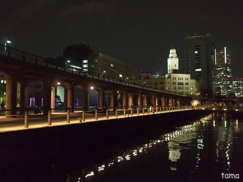 みなとみらいの夜景♪ 横浜 象の鼻パーク みなとみらいの夜景♪ 横浜 象の鼻パーク
