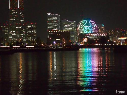 みなとみらいの夜景♪ 横浜 象の鼻パーク みなとみらいの夜景♪ 横浜 象の鼻パーク