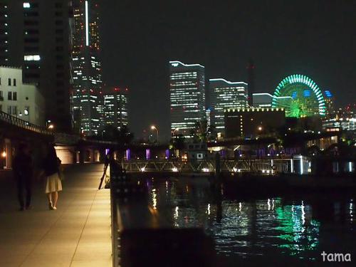 みなとみらいの夜景♪ 横浜 象の鼻パーク みなとみらいの夜景♪ 横浜 象の鼻パーク
