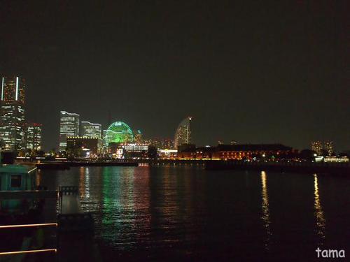 みなとみらいの夜景♪ 横浜 象の鼻パーク みなとみらいの夜景♪ 横浜 象の鼻パーク