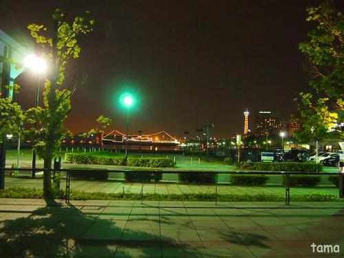 みなとみらいの夜景♪ 横浜 象の鼻パーク みなとみらいの夜景♪ 横浜 象の鼻パーク