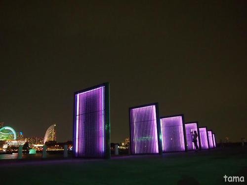 みなとみらいの夜景♪ 横浜 象の鼻パーク みなとみらいの夜景♪ 横浜 象の鼻パーク