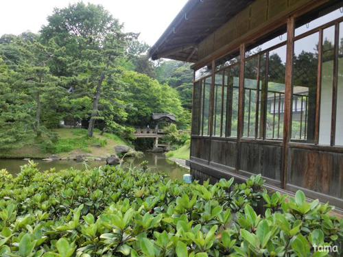 横浜三渓園 NO1 横浜三渓園 NO1