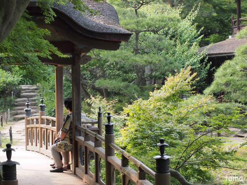 横浜三渓園 NO1 横浜三渓園 NO1