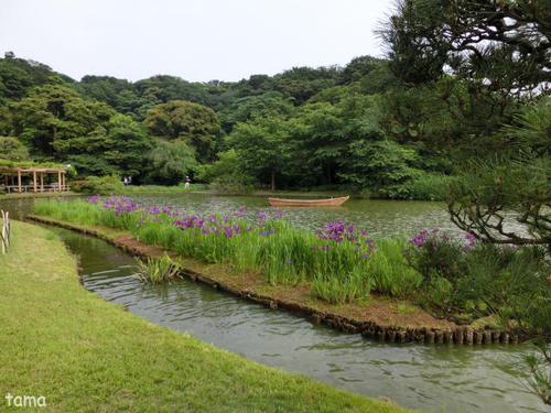 横浜三渓園 NO1 横浜三渓園 NO1
