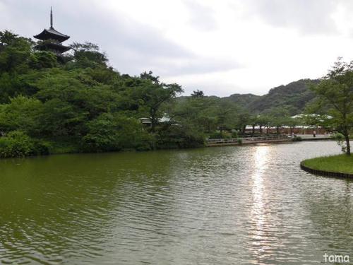 横浜三渓園 NO1 横浜三渓園 NO1