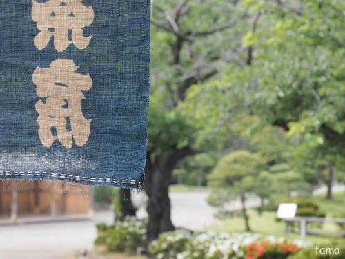 横浜三渓園 NO1 横浜三渓園 NO1