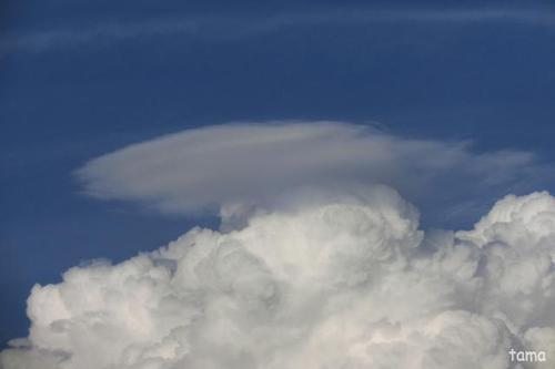 入道雲とかさ雲(ベール雲・頭巾雲) 入道雲とかさ雲(ベール雲・頭巾雲)