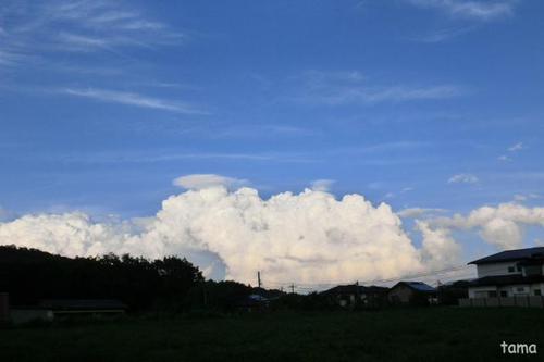 入道雲とかさ雲(ベール雲・頭巾雲) 入道雲とかさ雲(ベール雲・頭巾雲)