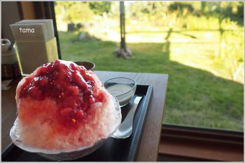 オーシャンビューでふわふわかき氷 濃厚いちご 伊豆高原 カフェ シーズンズ オーシャンビューでふわふわかき氷 濃厚いちご 伊豆高原 カフェ シーズンズ
