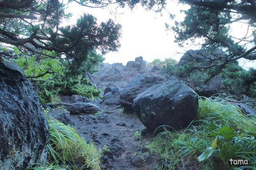 スリル満点? 門脇吊り橋♪ 伊東 城ヶ崎海岸 スリル満点? 門脇吊り橋♪ 伊東 城ヶ崎海岸