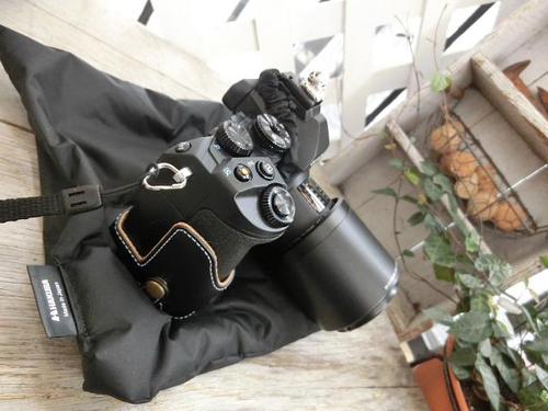 新しいカメラが!! OLYMPUS OM-D E-M1 新しいカメラが!! OLYMPUS OM-D E-M1
