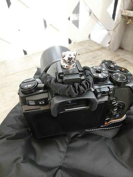 新しいカメラが!! OLYMPUS OM-D E-M1 新しいカメラが!! OLYMPUS OM-D E-M1