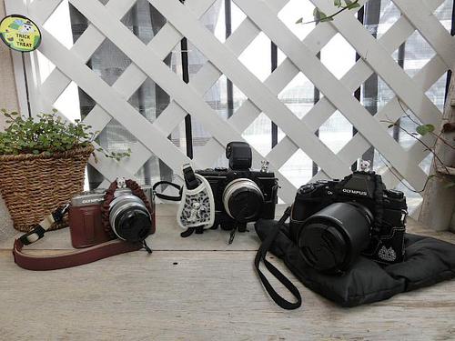 新しいカメラが!! OLYMPUS OM-D E-M1 新しいカメラが!! OLYMPUS OM-D E-M1