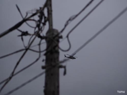 年季の入った電柱 江ノ島 年季の入った電柱 江ノ島